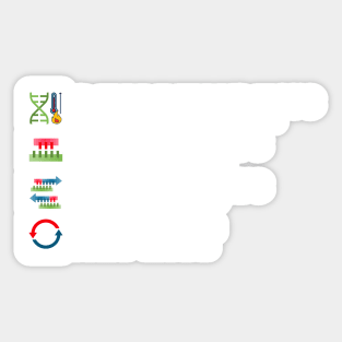 PCR Process Steps of Polymerase Chain Reaction Molecular Biology Science Sticker